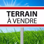 Recherche d'un lot