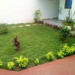 Jardin de l'appartement