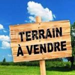 A vendre deux lots