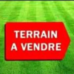 Terrain avec deux chambres 