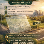 Terrain à vendre, situé à Atitingomé. 