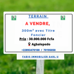 Terrain