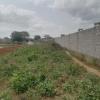 Terrain 